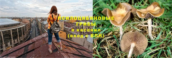 mix Аркадак