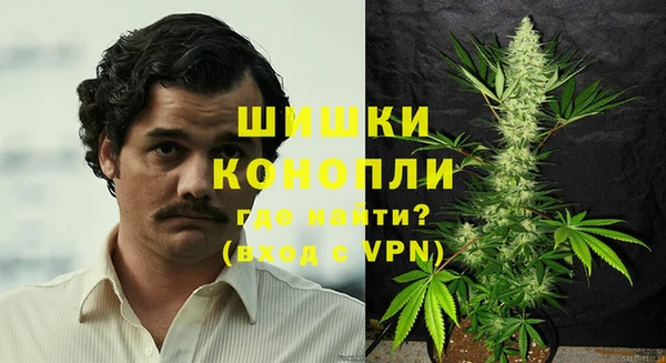 спайс Арсеньев